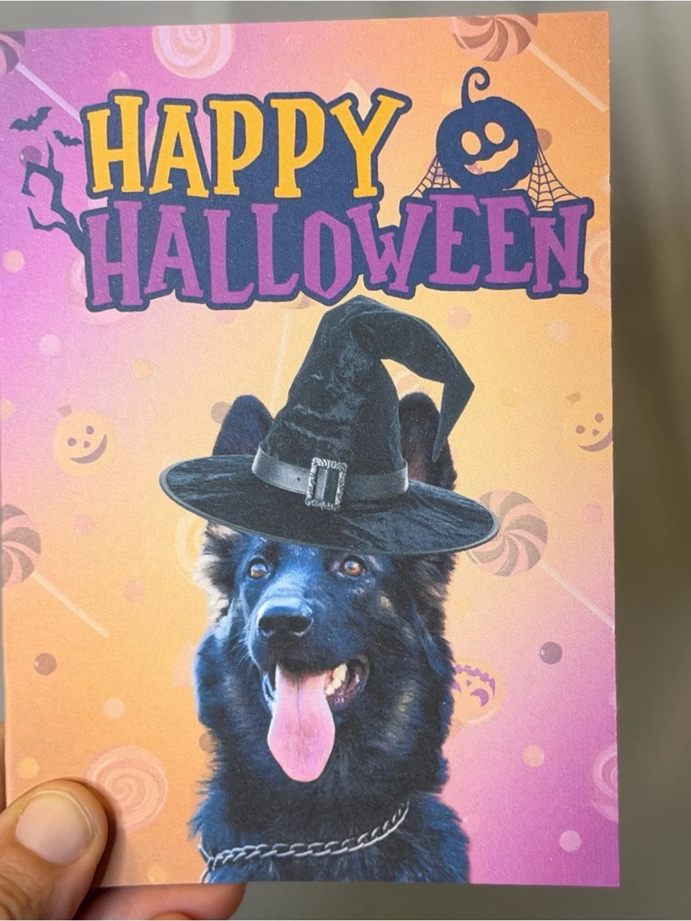 Happy Halloween German Shepherd Greeting Card Set of 15 Blank Inside 4x6